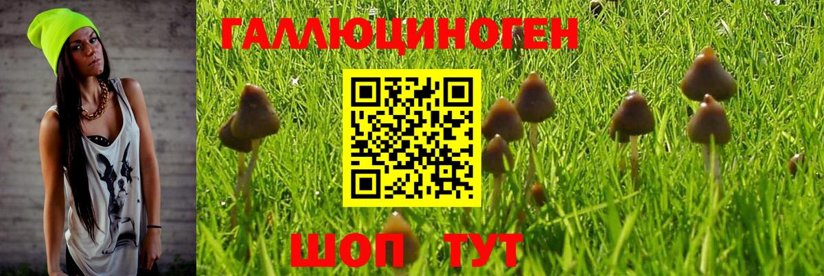 Галлюциногенные грибы Cubensis  Вход с VPN  Минеральные Воды 
