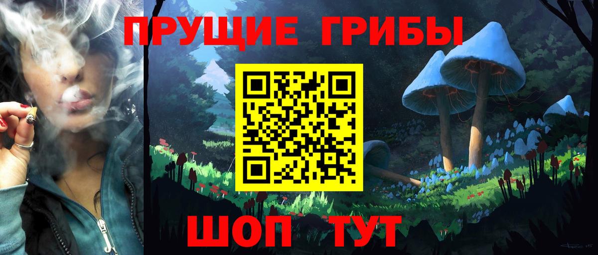 Псилоцибиновые грибы Psilocybe Минеральные Воды